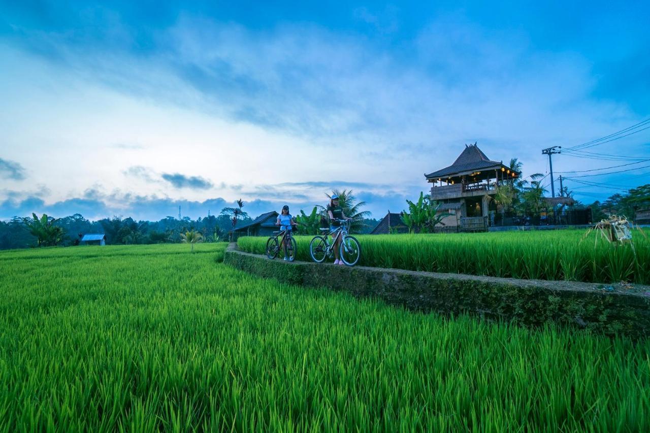 Hotel Umah Hoshi By Mahaputra Tegallalang  Esterno foto